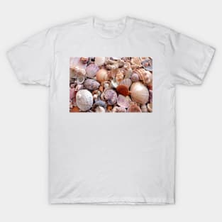 Seashells T-Shirt